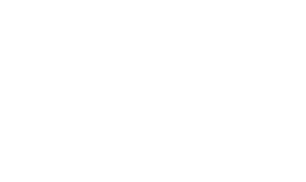 AMM Missões logo