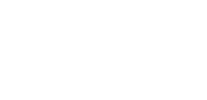 Colégio Verzeri logo
