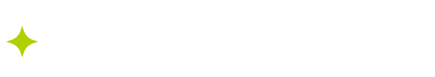 RUAH PublicTech